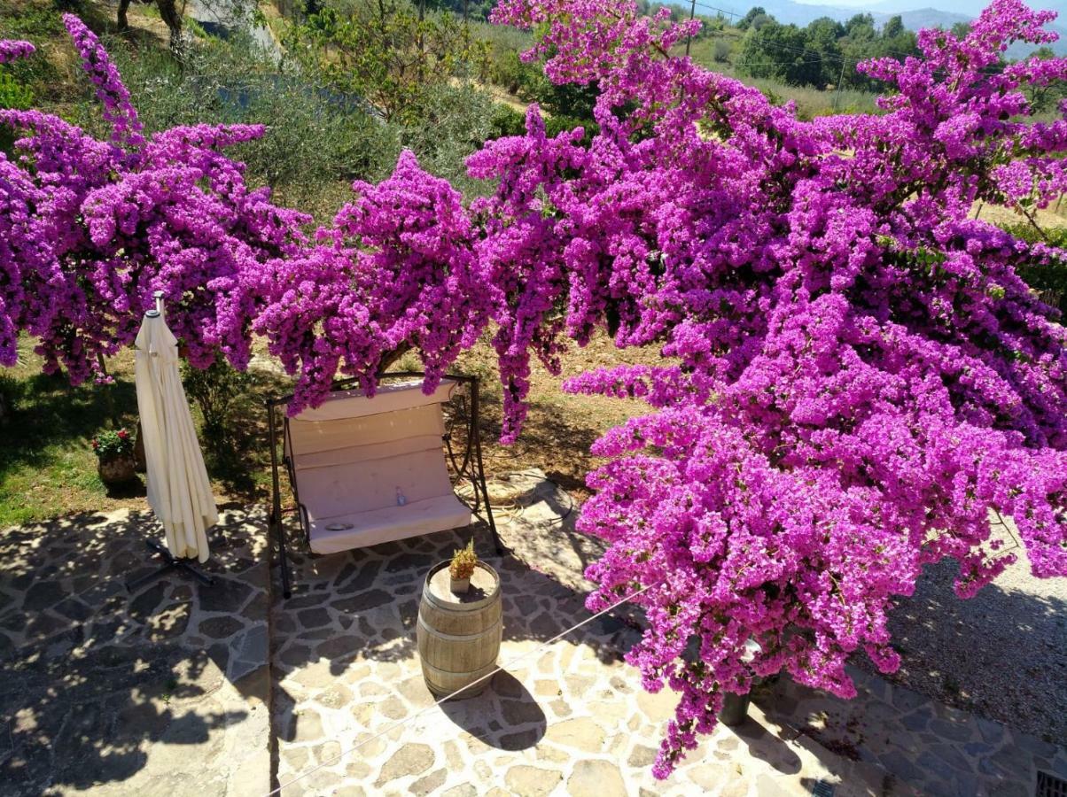 Agriturismo Il Marchese Aquara 外观 照片