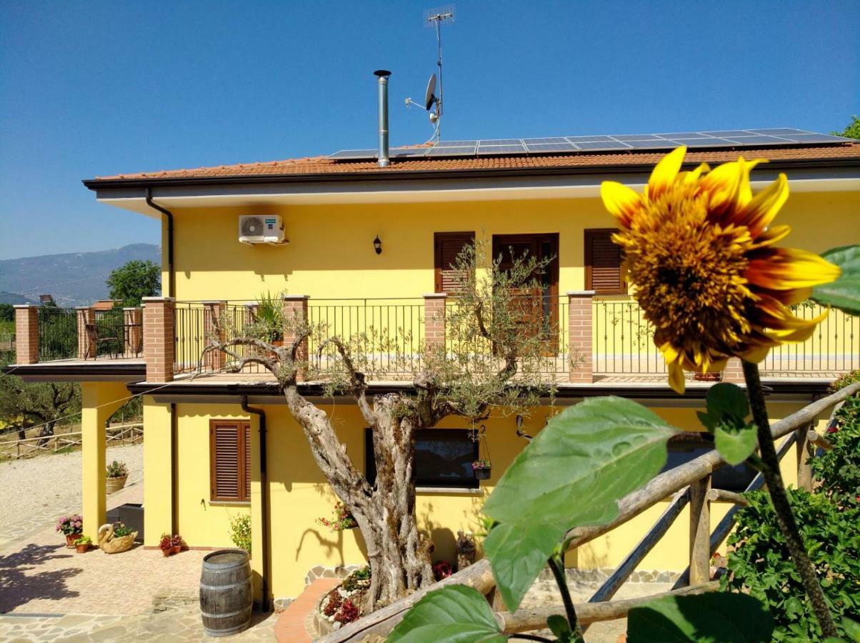Agriturismo Il Marchese Aquara 外观 照片