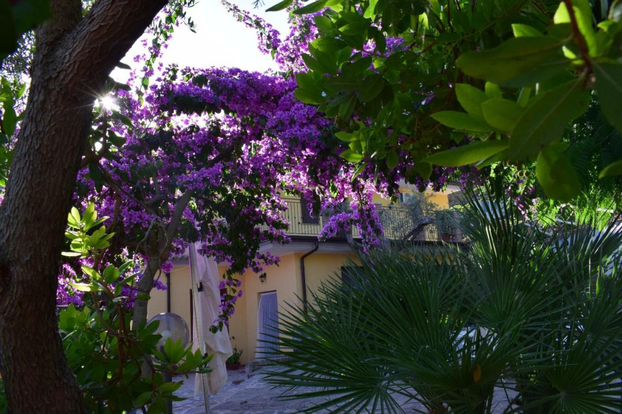 Agriturismo Il Marchese Aquara 外观 照片